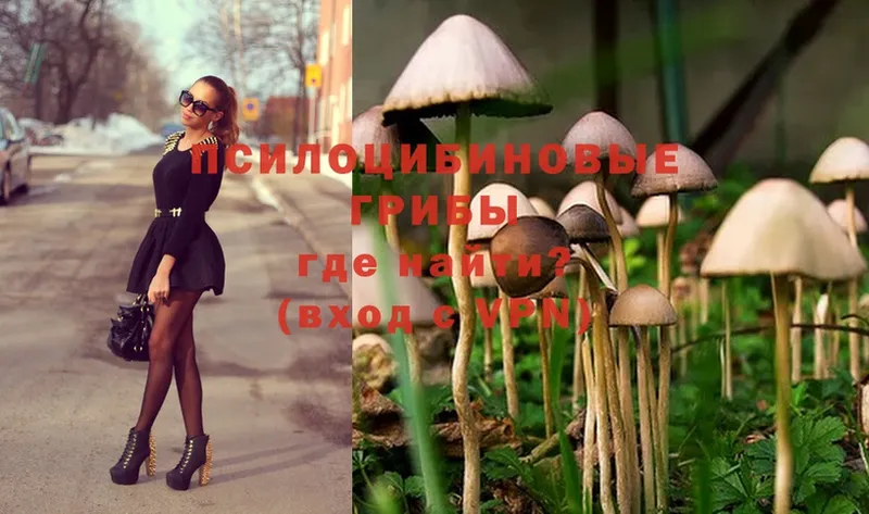 купить наркотик  Кулебаки  Галлюциногенные грибы MAGIC MUSHROOMS 